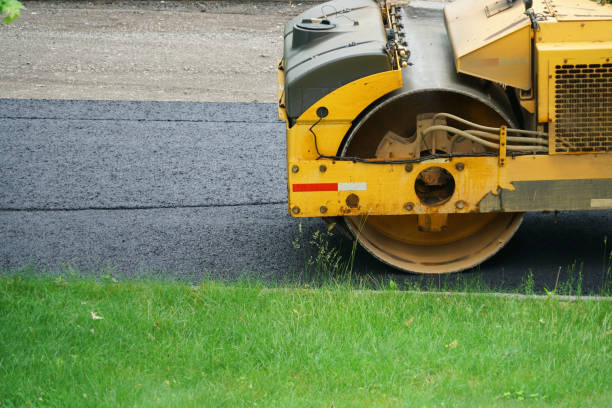 Best Professional Driveway Pavers  in Travelers Rest, SC